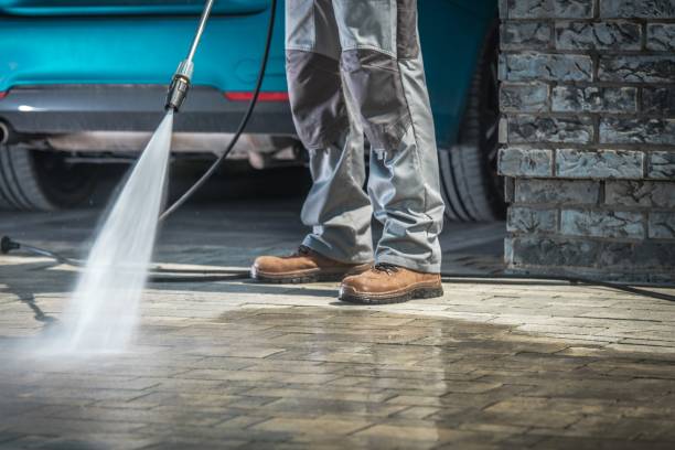Best Pre-Holiday Cleaning  in Mckenzie, TN