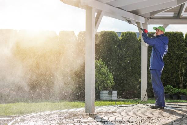 Best Roof Washing  in Mckenzie, TN
