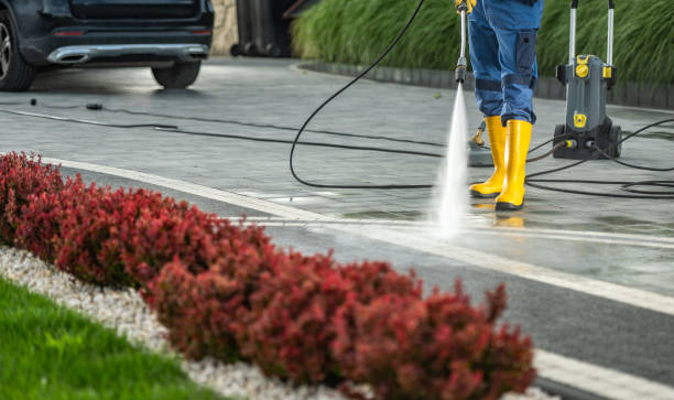 Best Pool Deck Cleaning  in Mckenzie, TN